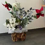 酒店 阿而浦沙勒施湾斯特恩酒店